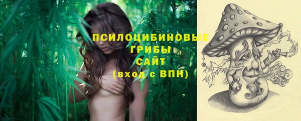 шишки Алексин