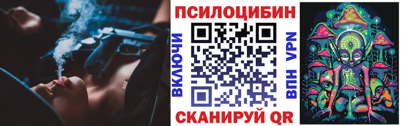 OMG маркетплейс  Петров Вал  Галлюциногенные грибы Magic Shrooms 